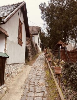 Repülőhal Apartmanház41