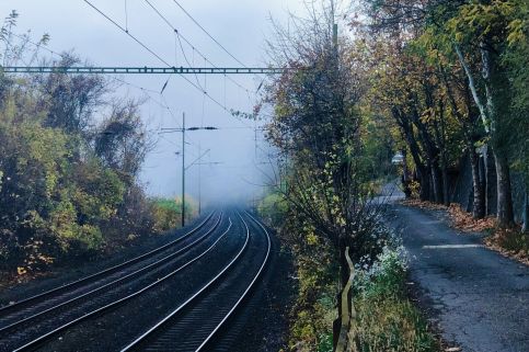 Repülőhal Apartmanház50