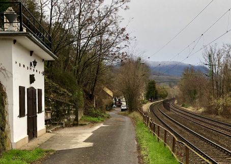 Repülőhal Apartmanház51