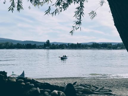 Repülőhal Apartmanház89