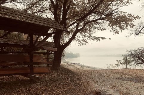 Repülőhal Apartmanház53