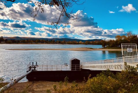 Repülőhal Apartmanház54