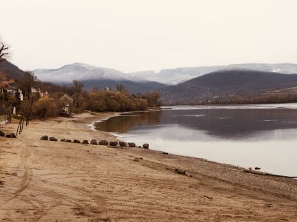 Repülőhal Apartmanház56