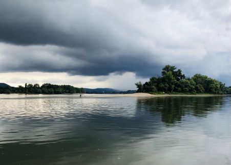 Repülőhal Apartmanház61