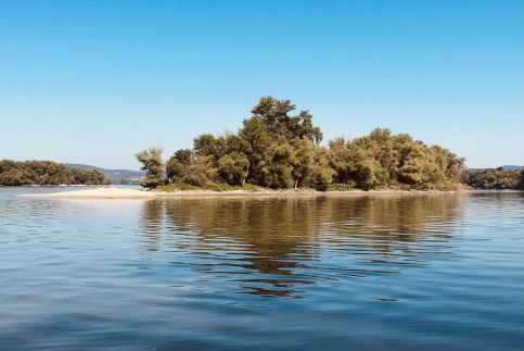 Repülőhal Apartmanház62