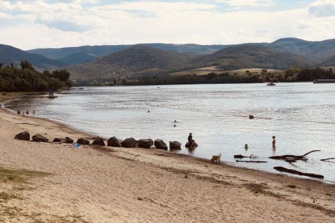 Repülőhal Apartmanház65