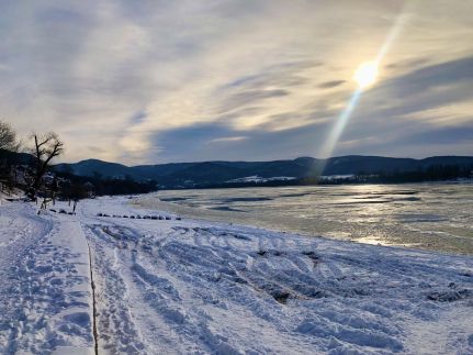 Repülőhal Apartmanház67