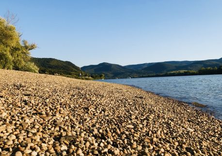 Repülőhal Apartmanház72