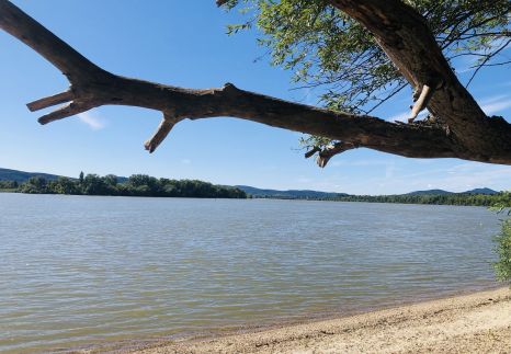 Repülőhal Apartmanház73