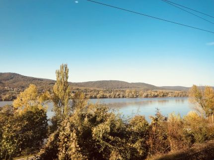 Repülőhal Apartmanház91