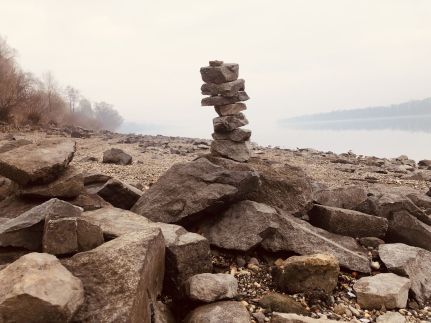 Repülőhal Apartmanház77