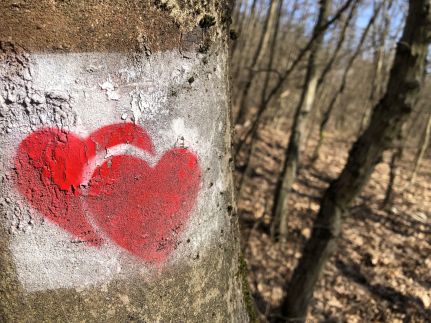 Repülőhal Apartmanház78