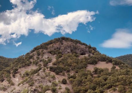 Repülőhal Apartmanház79