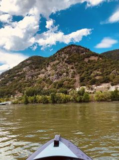 Repülőhal Apartmanház80