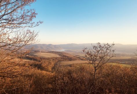 Repülőhal Apartmanház81