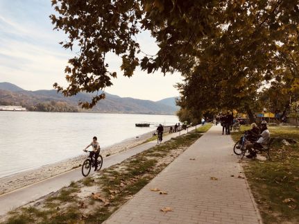 Repülőhal Apartmanház93