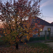 Keszi Széli Vendégház