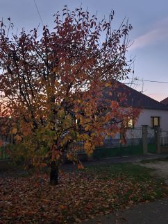 Keszi Széli Vendégház