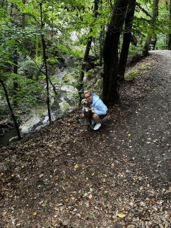 Pomale Vendégház12