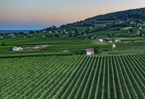 BorászPorta Vendégház Villány19