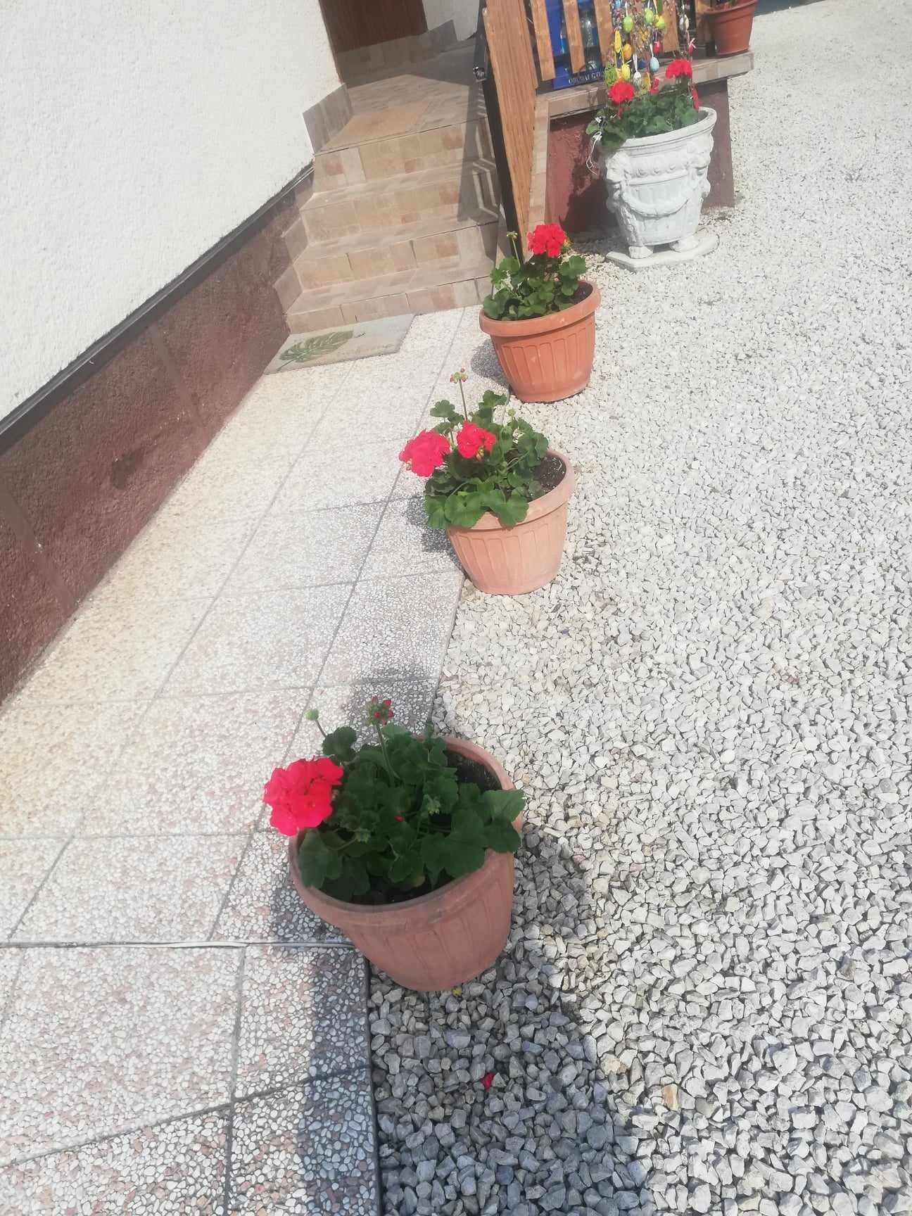 Fügefa Vendégház Ságvár – Ságvár fotó 4