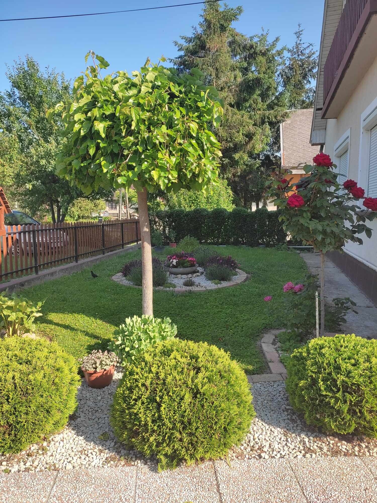 Fügefa Vendégház Ságvár – Ságvár fotó 6