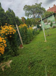 Kovács Vendégház24