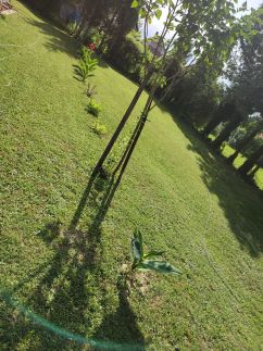 Kovács Vendégház26