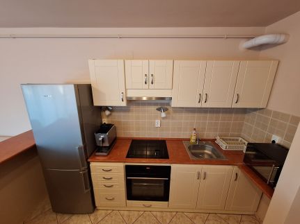 Makra-tető Öregtölgy Apartman19