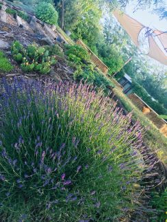 PajtaBagoly Vendèház36