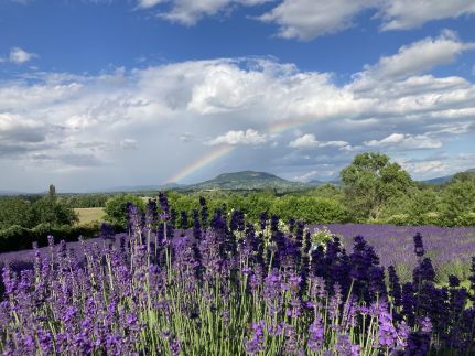 PajtaBagoly Vendèház38