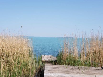 Coastline Balaton Apartman12