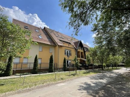 Orgona Lux Apartman11