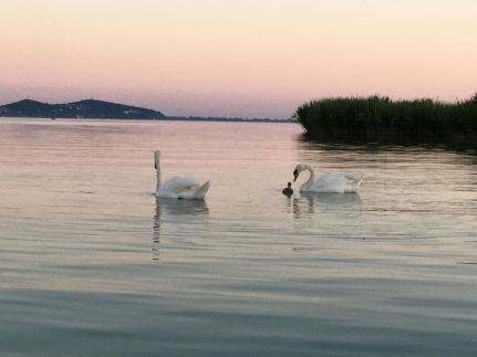 Sziget-lak, Strandközeli Nyaraló Ábrahámhegy12