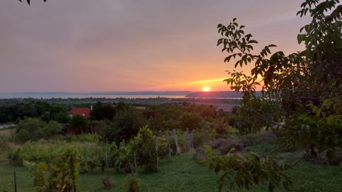 Víztükör Vendégház10