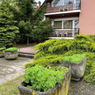 Maya House