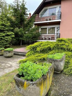 Maya House