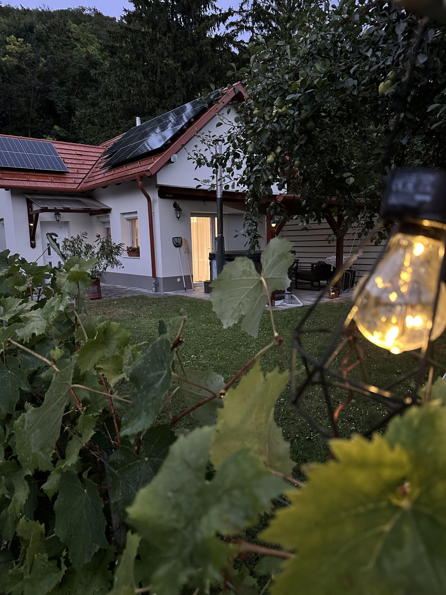 Sára Apartman – Balatonfűzfő fotó 19