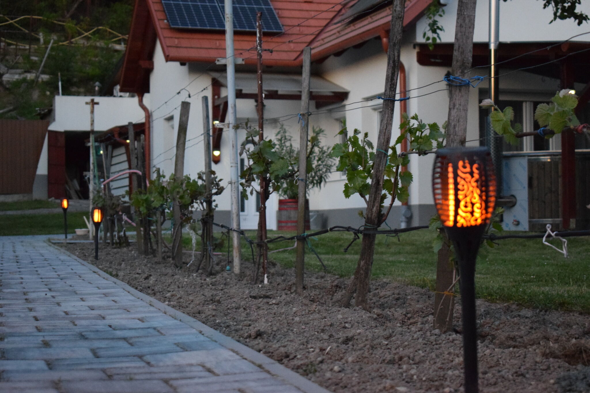 Sára Apartman – Balatonfűzfő fotó 14