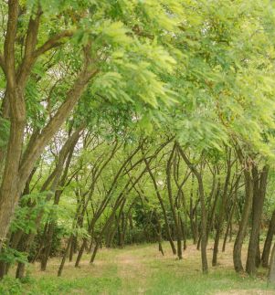 MacskaFészek Vendégház34