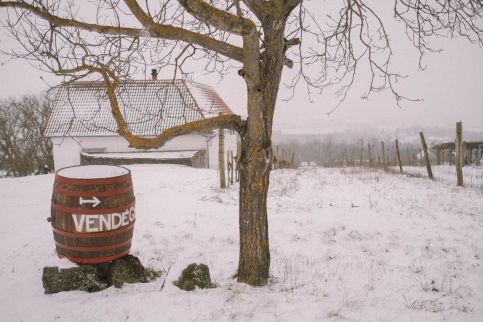 MacskaFészek Vendégház44