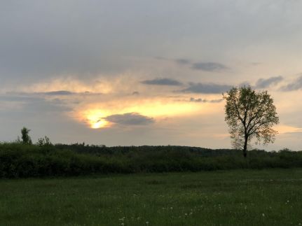 Kékcinke Vendégház az Őrségben19