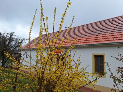Őrségi Szent Márton Lak18