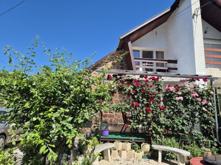 Halász apartman