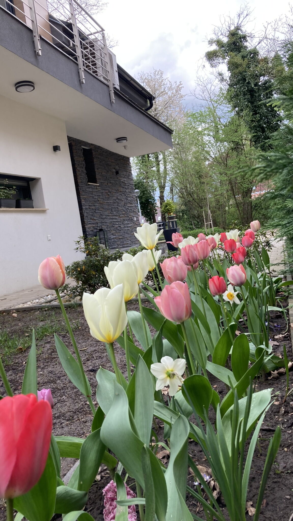 Peace of mind cottage – Tata fotó 31