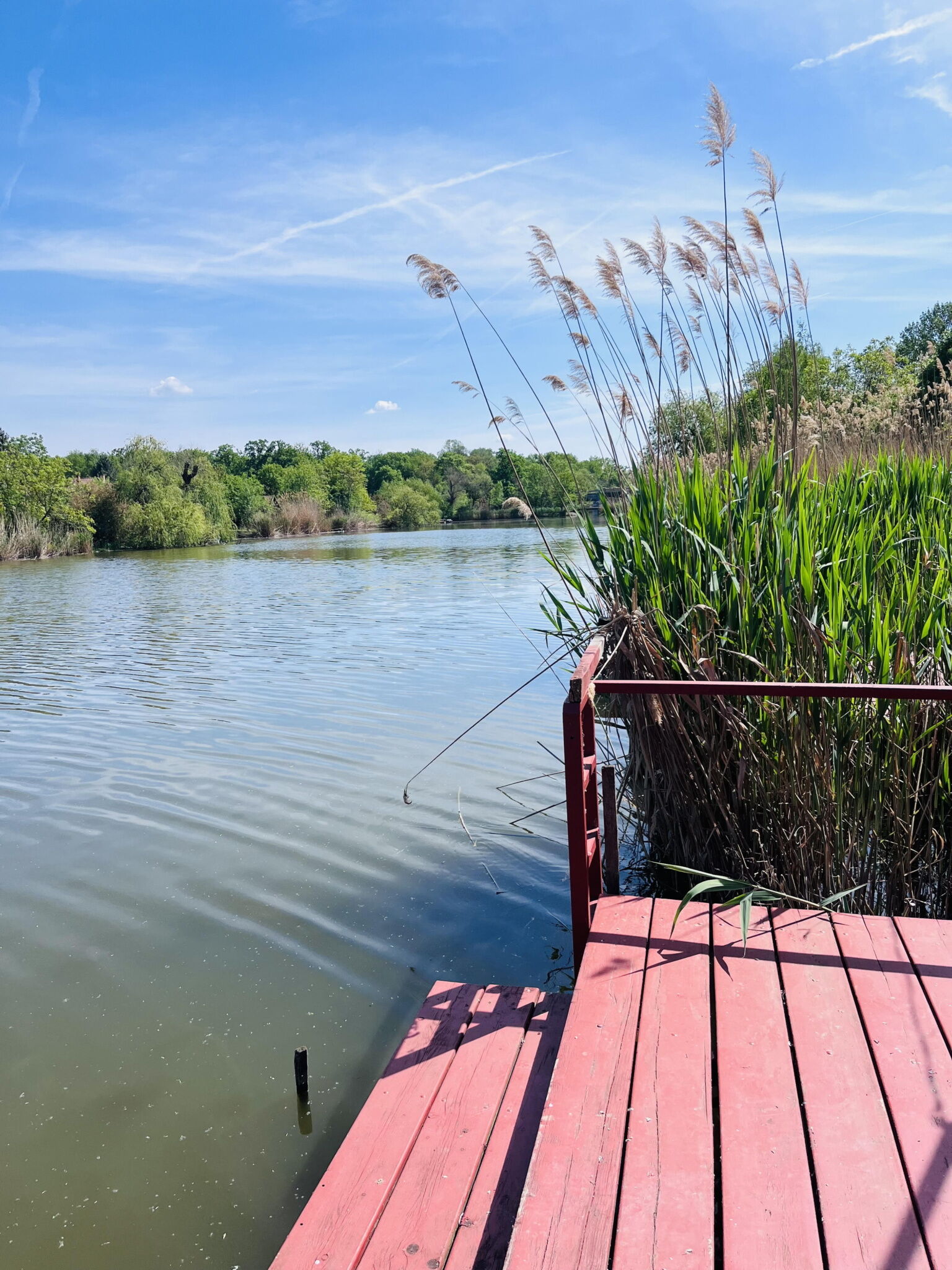 Vadvirág Apartmanház – Gyomaendrőd fotó 12