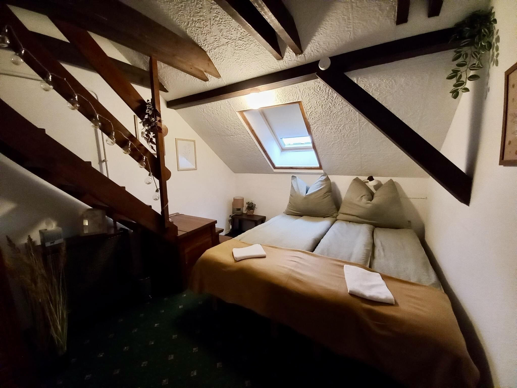 Vadvirág Apartmanház – Gyomaendrőd fotó 22