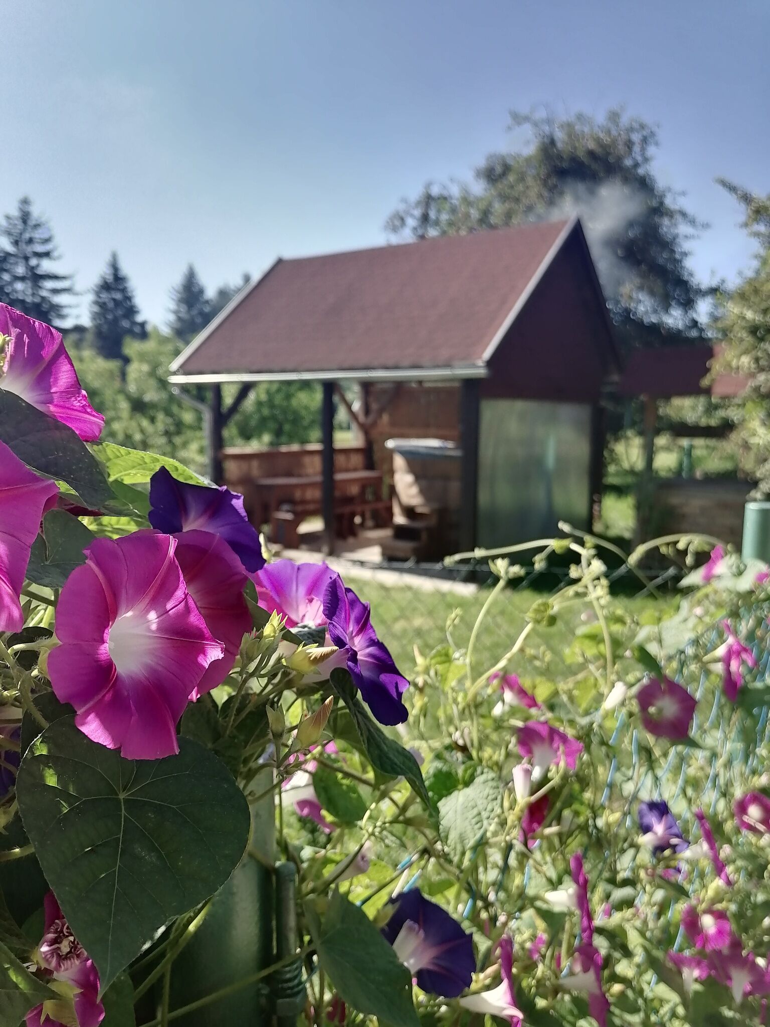 Kulcsos Katica Vendégház – Bakonyszentkirály fotó 20