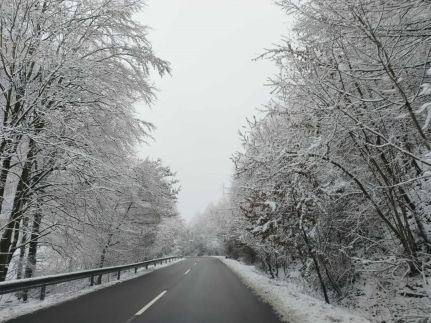 Ranunculus Vendégház190