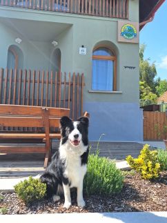 Mátra Túraközpont - Boutique Panzió20